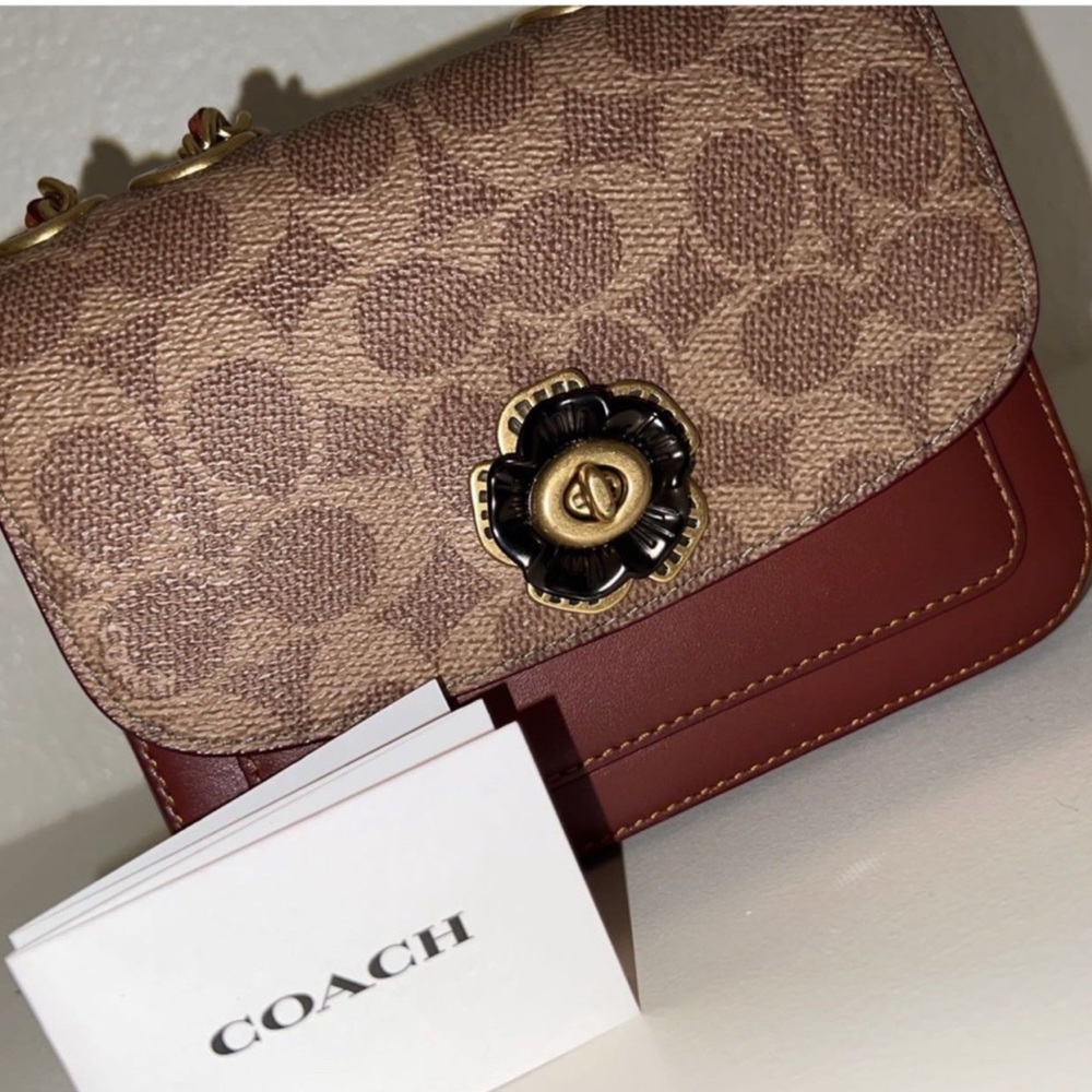 Coach Tan and Brown Mini Bag